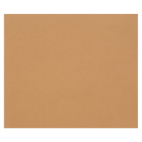 Цветная бумага Clairefontaine Tulipe светло-коричневый, 500х650мм, 25 листов, 160г/м2, легкое зерно