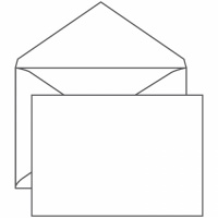 Конверт почтовый Ряжская Печатная Фабрика C4 белый, 229х324мм, 100г/м2, 50шт, без клеевого слоя