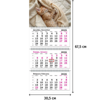 Календарь настенный 3-х блочный 2026 Attache, Котенок, 305х675, 80г