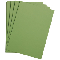 Цветная бумага Clairefontaine Etival color зеленое яблоко, 500х650мм, 24 листа, 160г/м2, легкое зерн