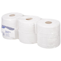 Туалетная бумага Luscan Professional в рулоне, белая, 250м, 2 слоя, 6 рулонов