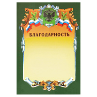 Благодарность А4, герб с триколором, зеленая рамка