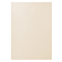 Обложки для переплета картонные Fellowes Delta слоновая кость, А3, 250 г/кв.м, 100шт, FS-53740